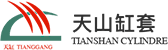 Bloco de cilindro Co. da zona de desenvolvimento de Ningbo Daxie Tianshan, LTD.