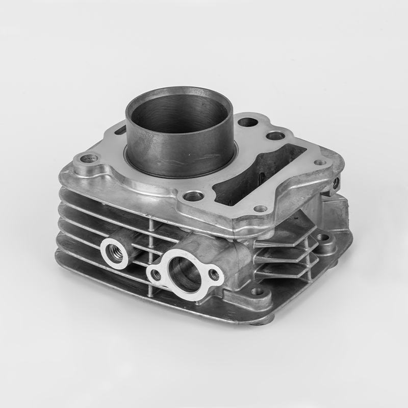 TVS110 (Φ53,5) Motor TVS de alto desempenho